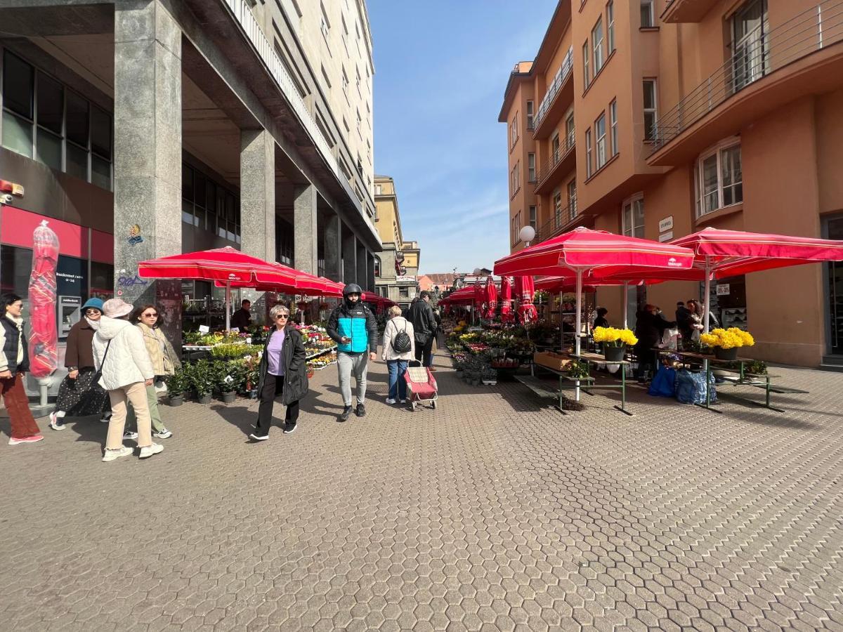 Studio Apartman Luka Zágráb Kültér fotó